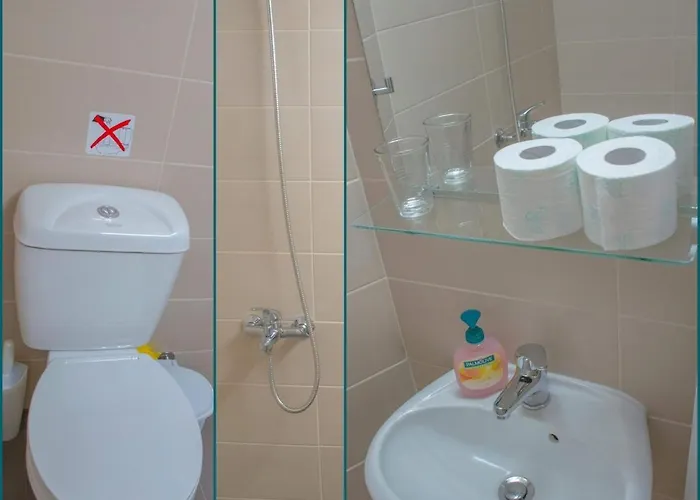 Palm L - Islander's Collection