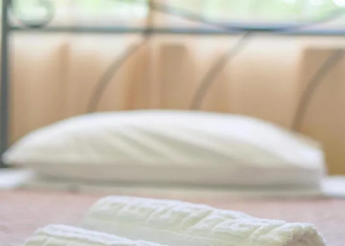 Palm L - Islander's Collection