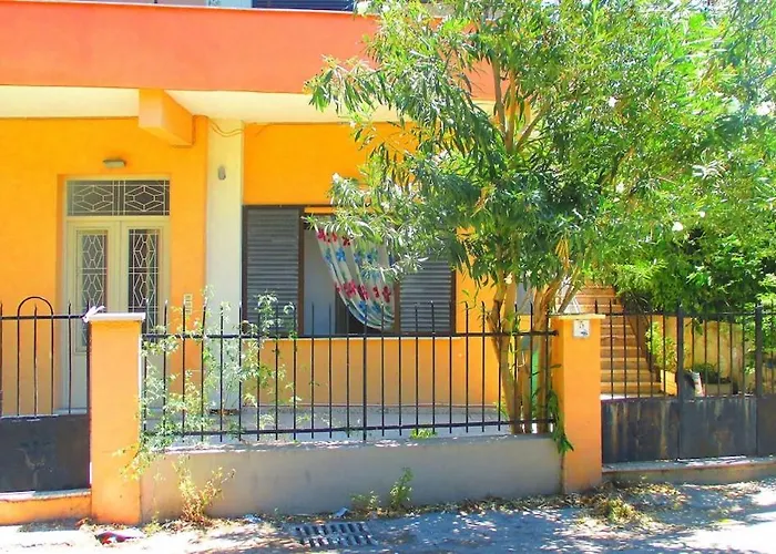 Palm L - Islander's Collection